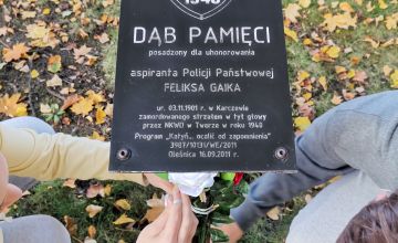Dęby Pamięci