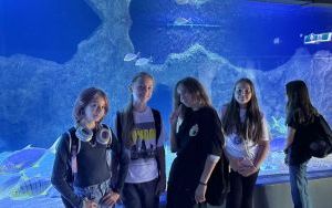 Klasa 6b na wycieczce w ZOO w Opolu (11)