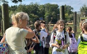 Klasa 6b na wycieczce w ZOO w Opolu (13)