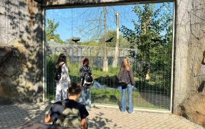 Klasa 6b na wycieczce w ZOO w Opolu (11)